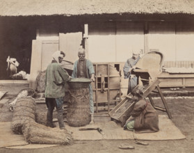 Sacking Grain, c1885. Creator: Unknown.