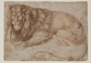 Recumbent Lion, between 1494 and 1495. Creator: Albrecht Durer.