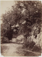 Forest Path, c1853. Creator: Eugène Cuvelier.