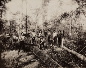Lumbering Days in Ludington, Michigan, 1890. Creator: H. J. Hansen.