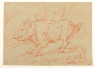 Wild Boar, between 1698 and 1769. Creator: Johann Elias Ridinger.