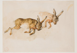 Two Studies of a Hare, between 1840 and 1876. Creator: Eugene Fromentin.