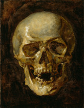 Skull, 19th century. Creator: Unknown.