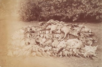 Dead Game, Perthshire, from an album compiled by Sir John Everett Millais. Creator: Unknown.