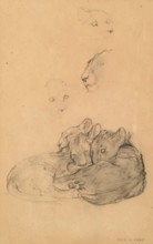 Ceylonese Leopard Cubs. Creator: John MacAllan Swan.