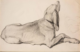 Study of a Labrador, c1840s. Creator: John Phillip.
