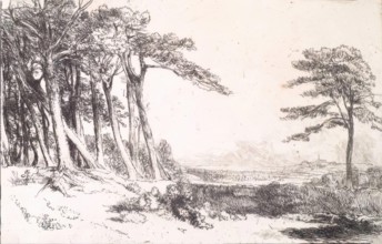 View in Caen Wood, Hampstead, c1800-1844. Creator: Andrew Geddes.