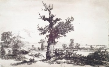 Halliford on Thames: Stump of a Tree in Centre, c1826. Creator: Andrew Geddes.