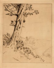 Tronc D'arbre, c1879. Creator: Alphonse Legros.
