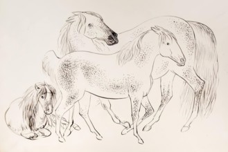 A group of three horses, 1825-1839. Creator: James Howe.