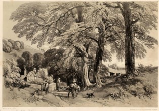 Bury Hill, Dorking, 1825-1849. Creator: James Duffield Harding.