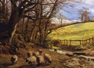 A Bit of Guernsey. Creator: Allan James Hook.