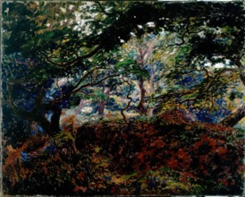 Sous-Bois, 1908-1910. Creator: Georges Lacombe.