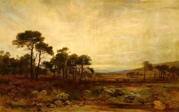 Glen Dee Deer-Forest, 1869. Creator: James Docharty.