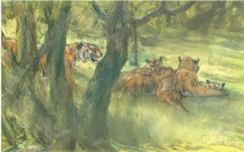 Landscape with Tiger and Cubs, 1900-1910. Creator: John MacAllan Swan.