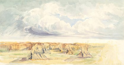 Cornfield with Stormy Sky. Creator: Sophia Dunbar.