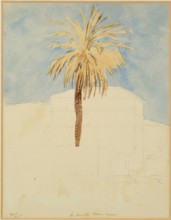 On Monte Calio, Rome - Palm Tree, 1825. Creator: James William Giles.