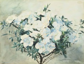 White Azaleas, ex.1909. Creator: Francis Edward James.