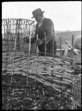 A hurdle maker at work near the town of Alton, East Hampshire, Hampshire, 1920-1960. Creator: George R Long.