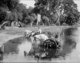 A boy with a horse drawn water cart, filling up in the River Thames, Shiplake, Oxfordshire,1860-1922 Creator: Henry Taunt.