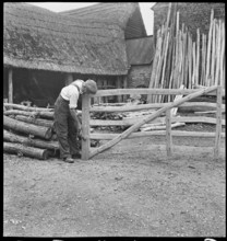 Man making a field gate in the village of Aston, Cote, Shifford and Chimney, Oxfordshire, 1930-50. Creator: George R Long.