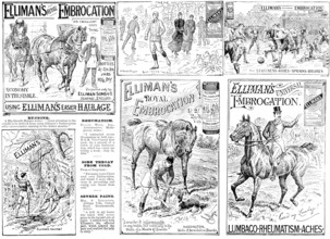 Advertisement for Elliman's Royal and Universal Embrocations, 1895. Creator: Unknown.