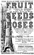 Advertisement for Richard Smith & Co's Fruit, Seeds and Roses, 1895. Creator: Unknown.