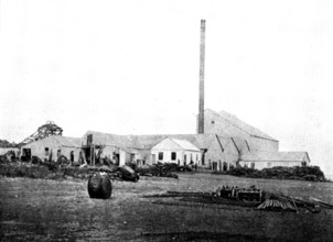 The Buffelsdoorn Mine: Battery-Buildings, 1895. Creator: A. Betton.