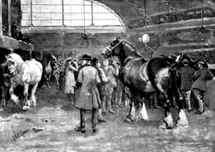 The Shire Horse Show at Islington: preparing for the parade, 1895. Creator: George Meisenbach.