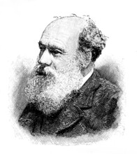 The late Mr. A. D. Fripp, 1895. Creator: P Naumann.