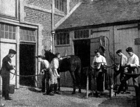 The Volunteer Manoeuvres at Brighton: Transport stable work at 5.30 a.m., 1895. Creator: Symmons & Thiele.
