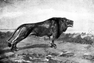 Pictures from the New Gallery: Evensong - J. T. Nettleship, 1895. Creator: George Meisenbach.