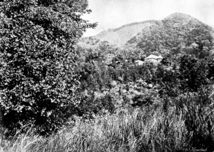 The Island of Montserrat (West Indies) - Manager's House, 1895. Creator: Unknown.