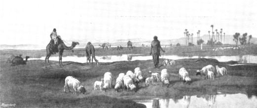 Pictures from the Royal Academy: Laban's Pasture: Jacob Serving for Rachel - F. Goodall, R.A., 1895. Creator: George Meisenbach.