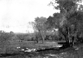 Pictures from the Royal Academy: Midland Meadows - A. East, 1895. Creator: George Meisenbach.