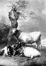 Pictures from the Royal Academy: Repose - T. S. Cooper, R.A., 1895. Creator: George Meisenbach.