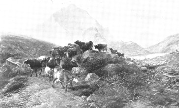 Pictures from the Royal Academy: A Summer Afternoon - T. S. Cooper, R.A., 1895. Creator: George Meisenbach.
