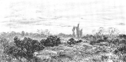 Pictures from the Royal Academy: "The Sear, The Yellow Leaf" - J. Brett, A.R.A., 1895. Creator: George Meisenbach.