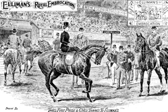 Advertisement for Elliman's Royal Embrocation, 1895. Creator: Joseph Swain.