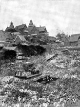 The Queen of Madagascar's Proclamation to her people, 1895. Creator: George Meisenbach.
