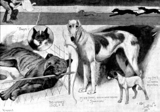 Sketches at the Ladies' Kennel Association's first show, at the Ranelagh Club, Barn Elms, 1895. Creator: Plummer & Co.