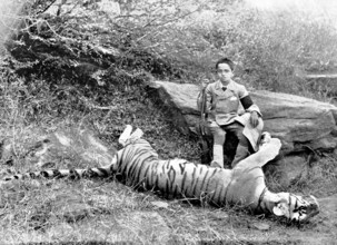 The first tiger shot by Prince Bughwan Singh, aged twelve, 1895. Creator: J. Cowell.