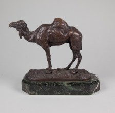 Camel,  mid 19th century. Creator: Antoine-Louis Barye.