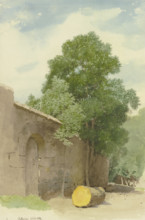 Sawed-off tree trunk in front of a wall at the Rothenburg Wildbad, 1869. Creator: Carl Theodor Reiffenstein.