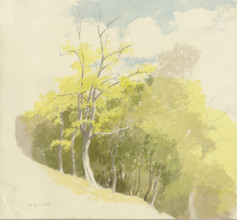 Forest at a slope, 1858. Creator: Carl Theodor Reiffenstein.