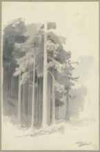 Poetic coniferous forest on a slope, sketch of a figure walking downhill (or leaning?)..., 1844. Creator: Carl Theodor Reiffenstein.