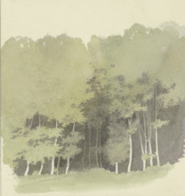 Edge of a wood, c1853. Creator: Carl Theodor Reiffenstein.