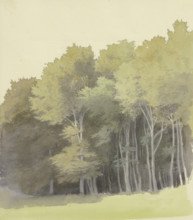 Edge of a wood, c1853. Creator: Carl Theodor Reiffenstein.