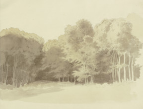 Edge of a wood, c1853. Creator: Carl Theodor Reiffenstein.