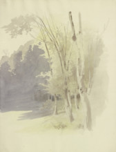 Edge of a wood, c1853. Creator: Carl Theodor Reiffenstein.